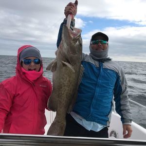 Meet your Posher, Daniel